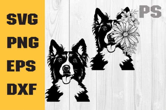 Border Collie Floral SVG: A Designer’s Real-World Embroidery Review