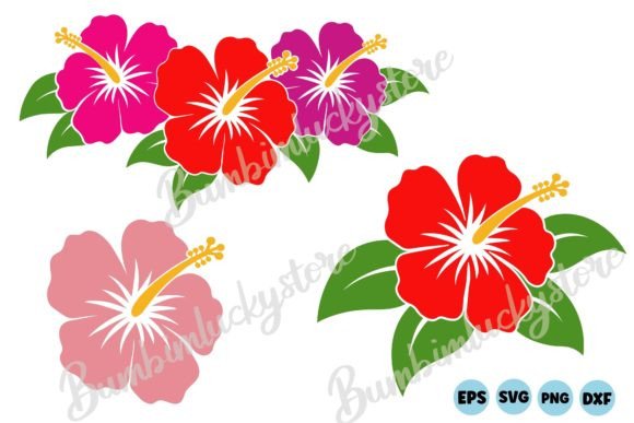 Hibiscus SVG, Hibiscus Flower Svg Bundle