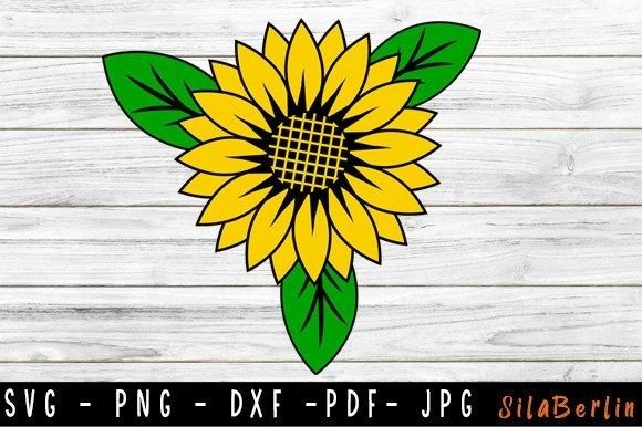 Sunflower SVG, Flora SVG, Cute Flower